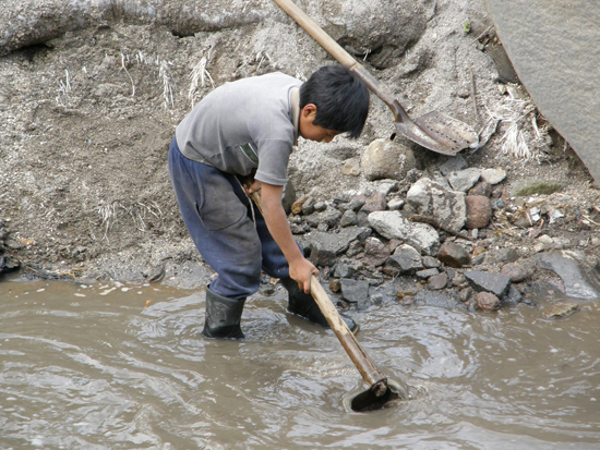 El número de niños trabajadores se reduce en un tercio desde 2000, afirma la OIT