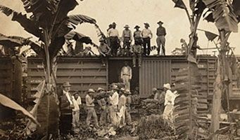 Diciembre 6 de 1928. Masacre de las bananeras