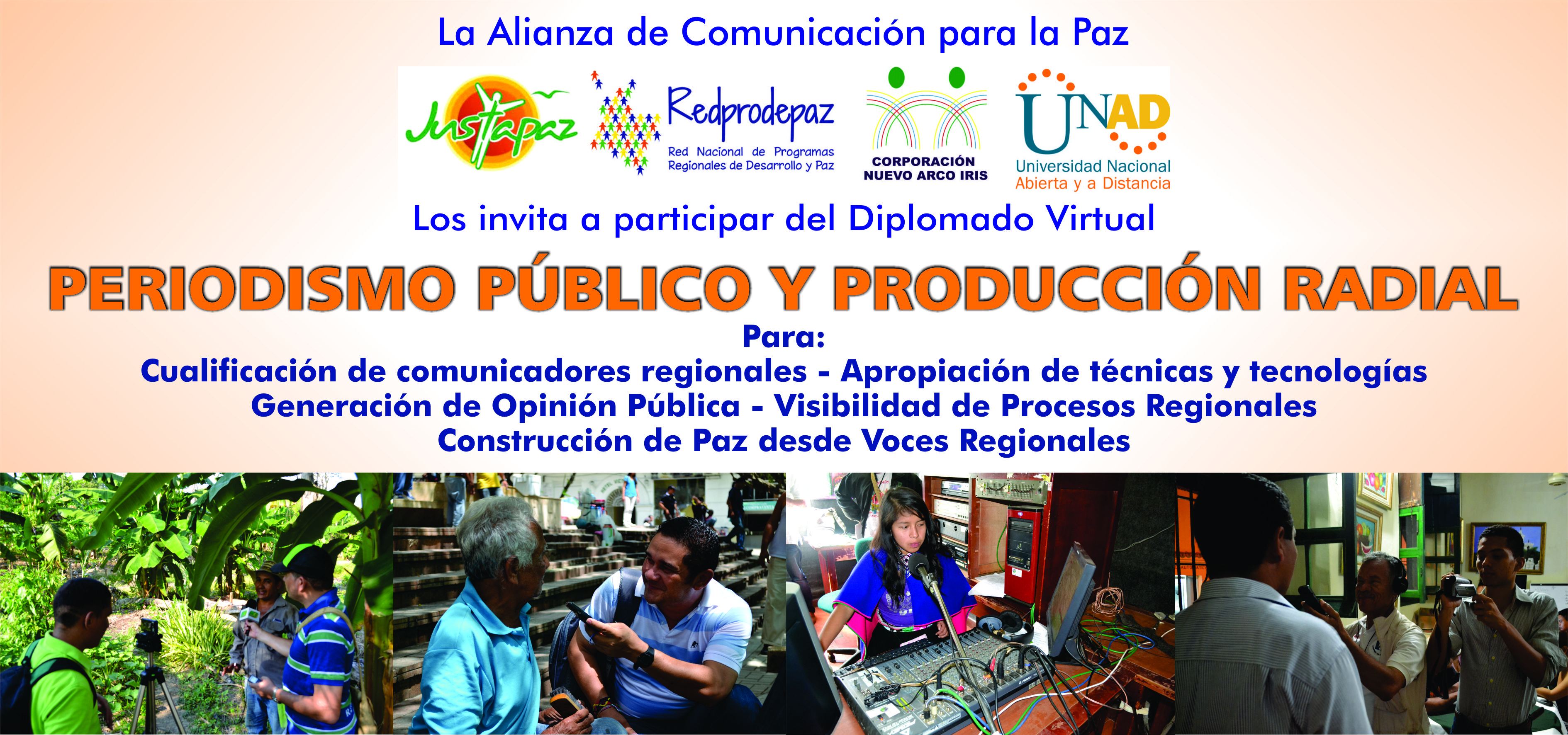 Diplomado virtual Periodismo Público y Paz