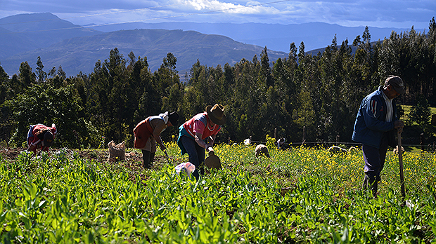 Las críticas de Amnistía Internacional a la restitución de tierras