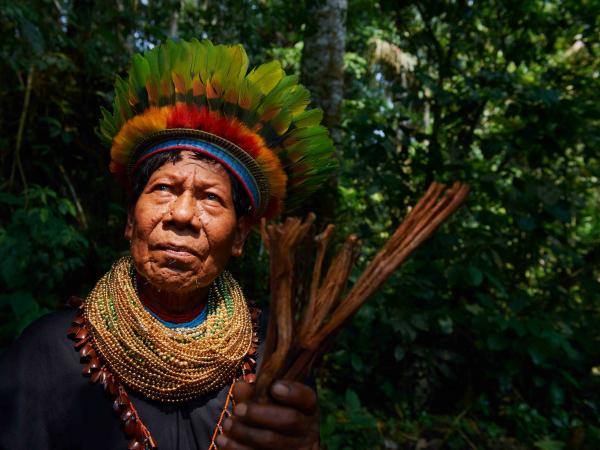 Indígenas piden protección de 20 millones de hectáreas en la Amazonía