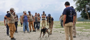 Segundo informe de avance proyecto piloto descontaminación de explosivos