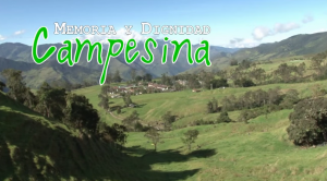 Sin título545