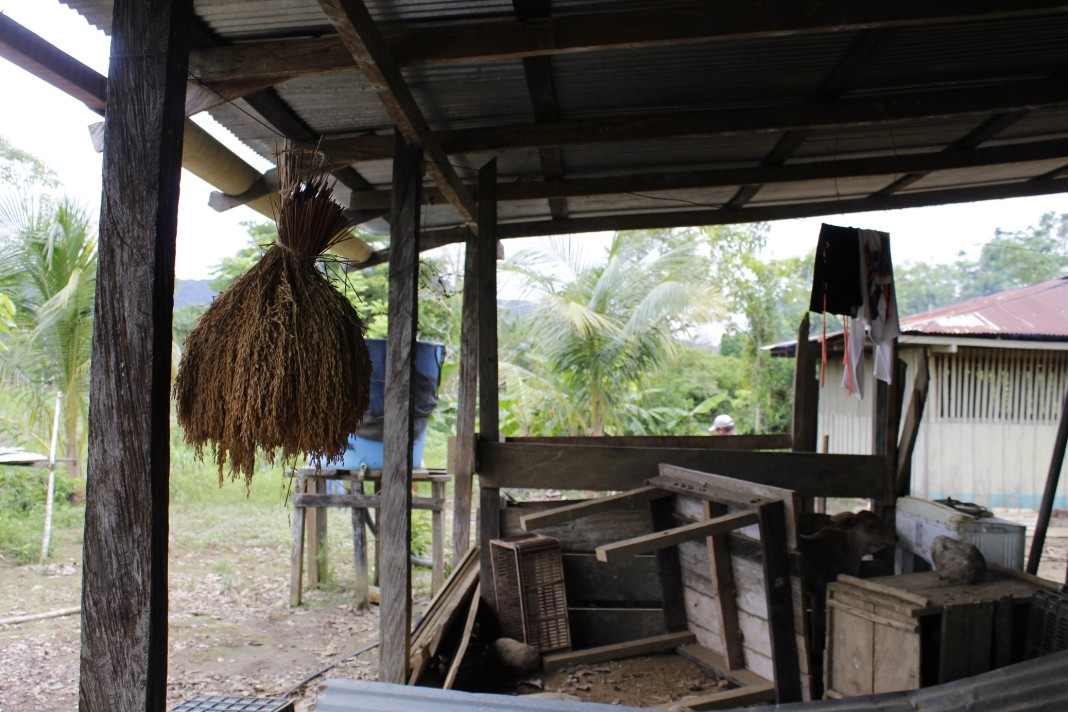 Continúan ataques en contra de víctimas reclamantes de tierras en Urabá
