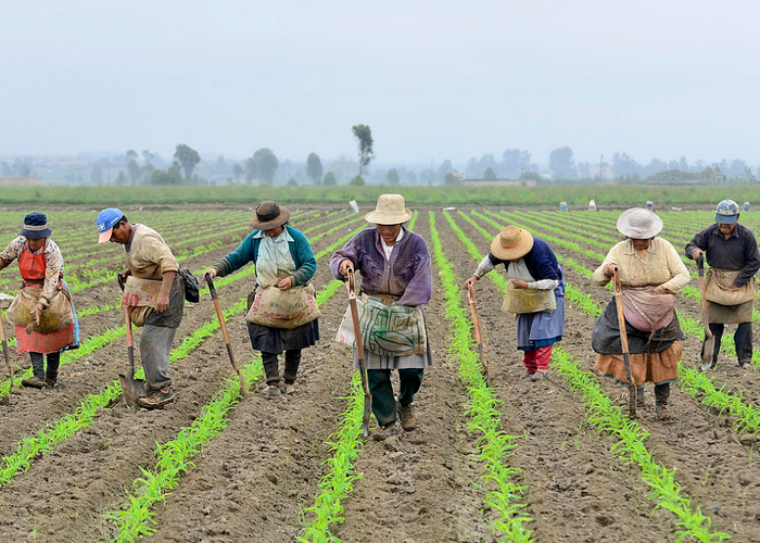 El futuro de la  pequeña y mediana propiedad rural y los reclamantes de tierras