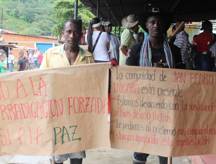 San José del Palmar y la encrucijada de la erradicación voluntaria