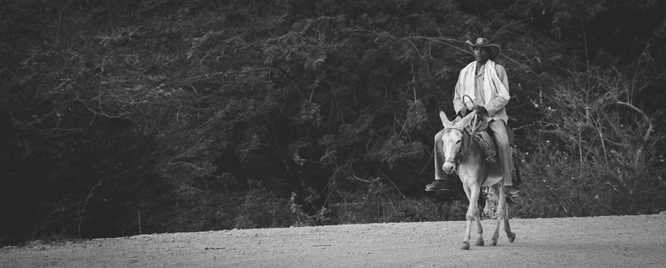 Dinámicas de los conflictos territoriales en Montes de María y Sur de Sucre