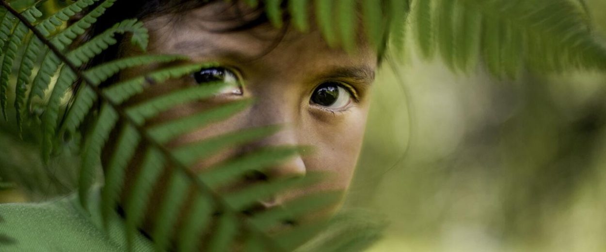 Los niños terribles de la guerra