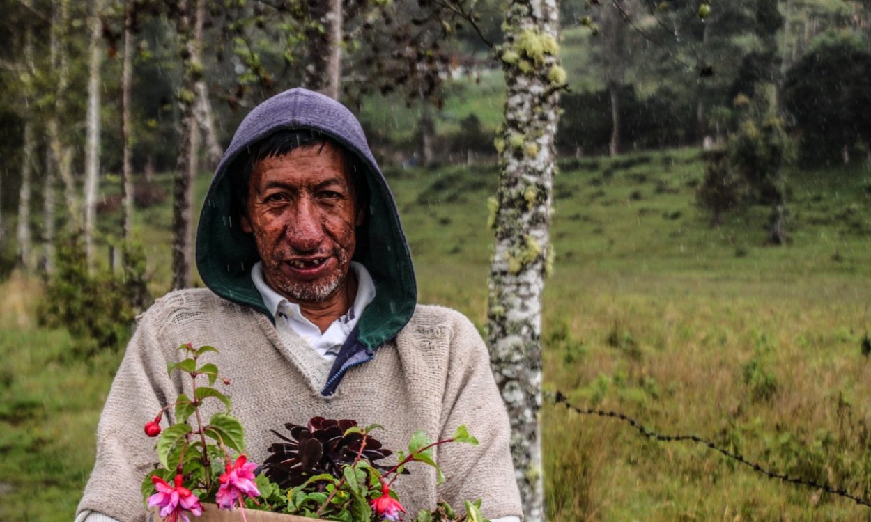 El fracaso de la  sustitución voluntaria en Nariño