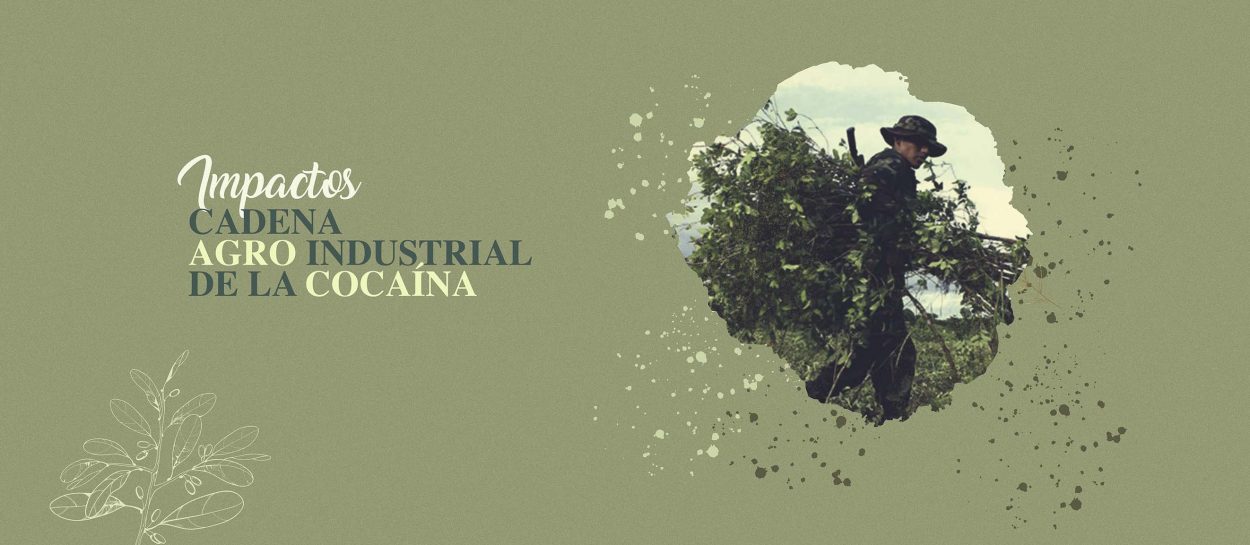 Impactos de la cadena agroindustrial de la Cocaína