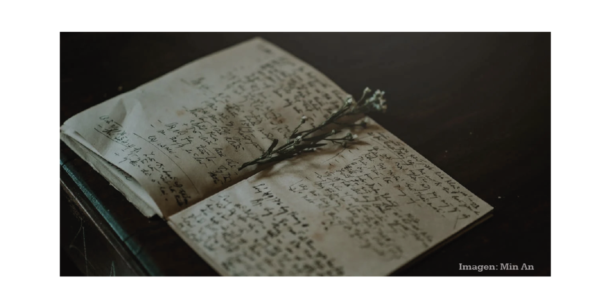 Cuatro Poemas de Javier Serrano
