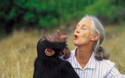 El animal como actor social en una Biocivilización